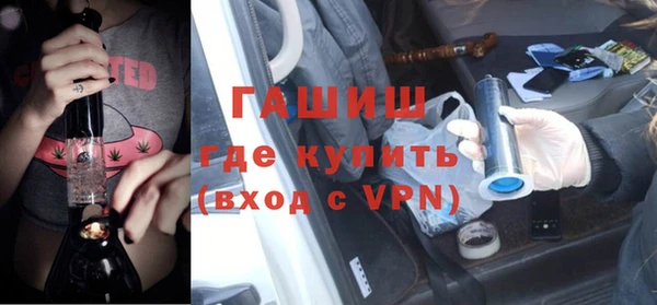 гидра Горняк