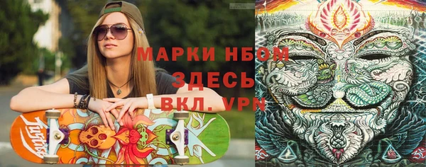 гидра Горняк