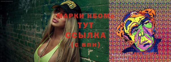гидра Горняк