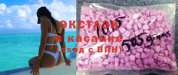 гидра Горняк