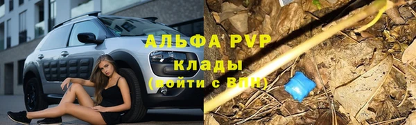 дживик Саяногорск