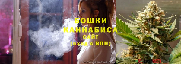 гидра Горняк