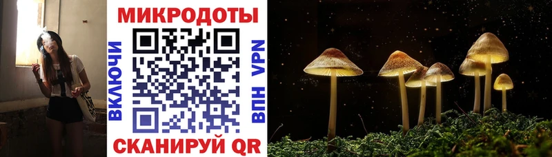 hydra ссылка Пестово Галлюциногенные грибы GOLDEN TEACHER